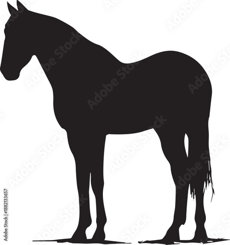 Black silhouette of horse on white background. Isolated image of young stallion. Vector illustration