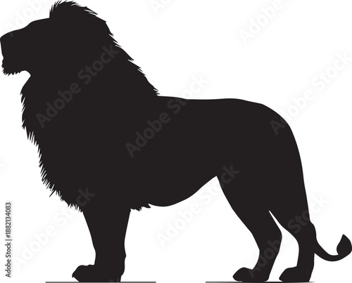 Silhouette of african lion standing side view. Vector illustration isolated on the white background