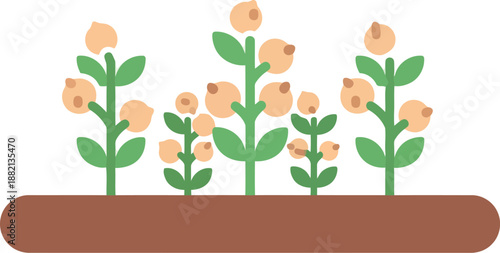 Chickpea Plants Growing in Soil Vector Illustration for World Pulses Day Agriculture Concept