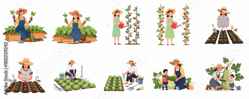 Vector set of women and children gardening, depicting various stages of organic farming, including planting, watering tomatoes, weeding, and harvesting fresh vegetables.