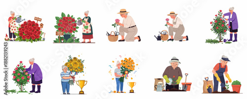 Senior women enjoying rose gardening, from planting and dedicated care to winning prestigious flower show awards and trophies.