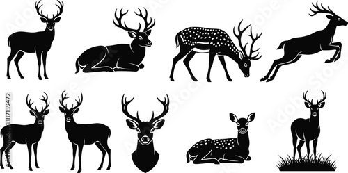 Deer silhouette bundle, wildlife poses, grazing, leaping, sitting, antlered and fawn figures, black white nature design, animal illustration set