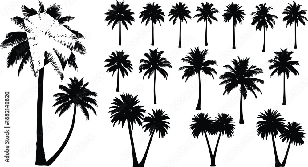 Obraz premium Palm tree silhouette set, tropical black illustration, frond and trunk variations for beach design, botanical art, summer graphic decoration