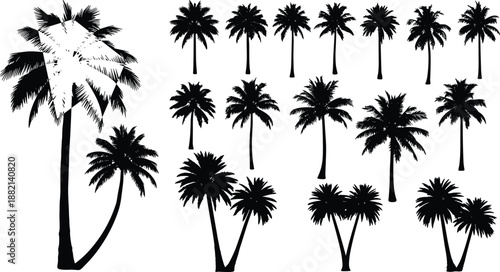 Palm tree silhouette set, tropical black illustration, frond and trunk variations for beach design, botanical art, summer graphic decoration
