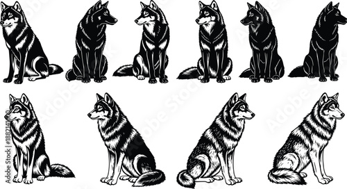 Stylized wolf husky silhouette illustration, black and white animal art, posture variations, fur detail for design, animation, tattoo concept