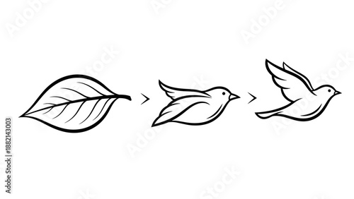 Leaf Transforming into Bird Illustration.