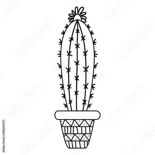 Hand drawn ornamented cactus pot