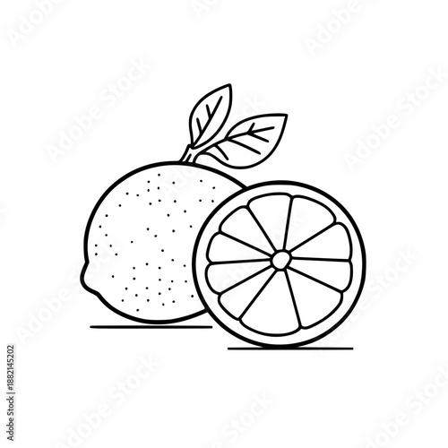 Zesty Citrus Delight: Tale Two Fruits | Clean, isolated vector art for creative projects.