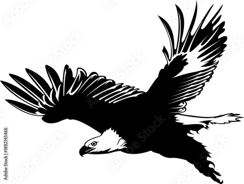 Eagle Silhouette with Wings Spread Isolated on White.