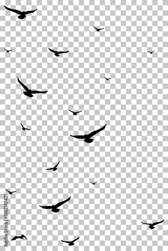 Black bird silhouettes soaring freely across a transparent sky, depicting a flock in motion.