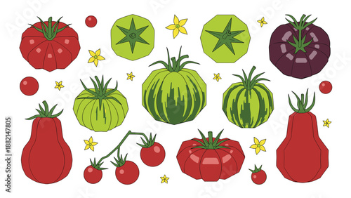 Collection of various colorful heirloom tomato varieties including green striped purple and classic red shapes with leaves.