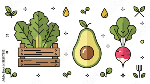 Linear vector icons of fresh vegetables including leafy greens in a wooden crate avocado halves and red radish with sprouts.