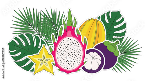 Colorful vector arrangement of tropical exotic fruits including dragon fruit mangosteen star fruit and melon with palm leaves.