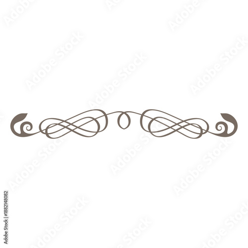 Curly lines ornate divider