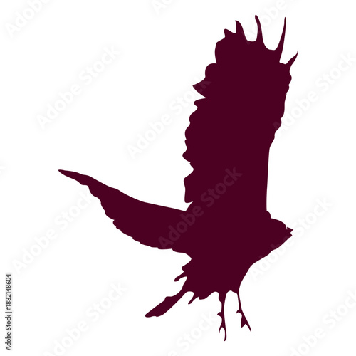 Eagle flying sequence 10