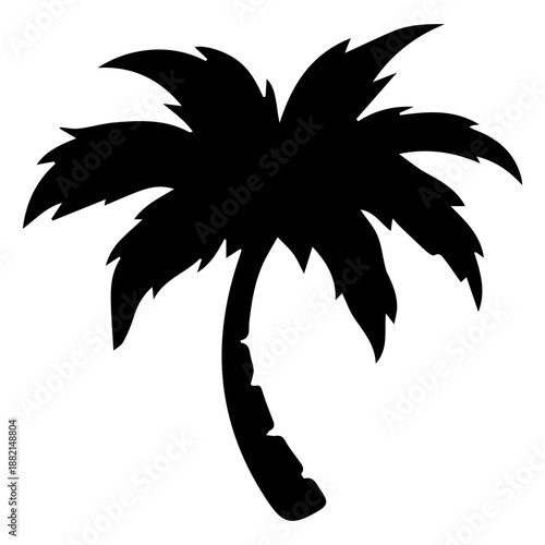 Palm palm tree