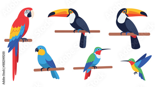 Set of colorful tropical birds sitting on branches including macaw parrot toucan and flying hummingbird.