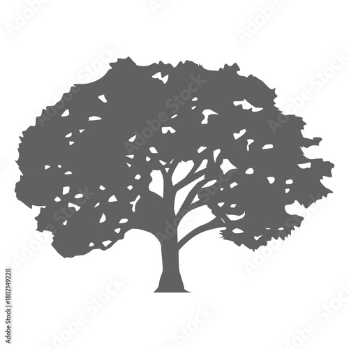 Maple tree silhouette 1