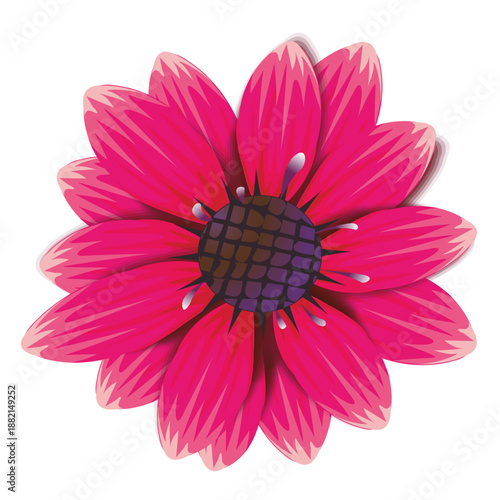 Maroon flower cartoon