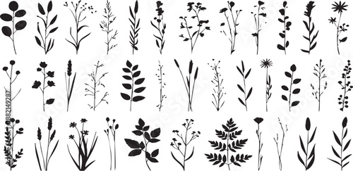 Collection of Wildflower and Grass Silhouette Vectors for Botanical Illustration and Design