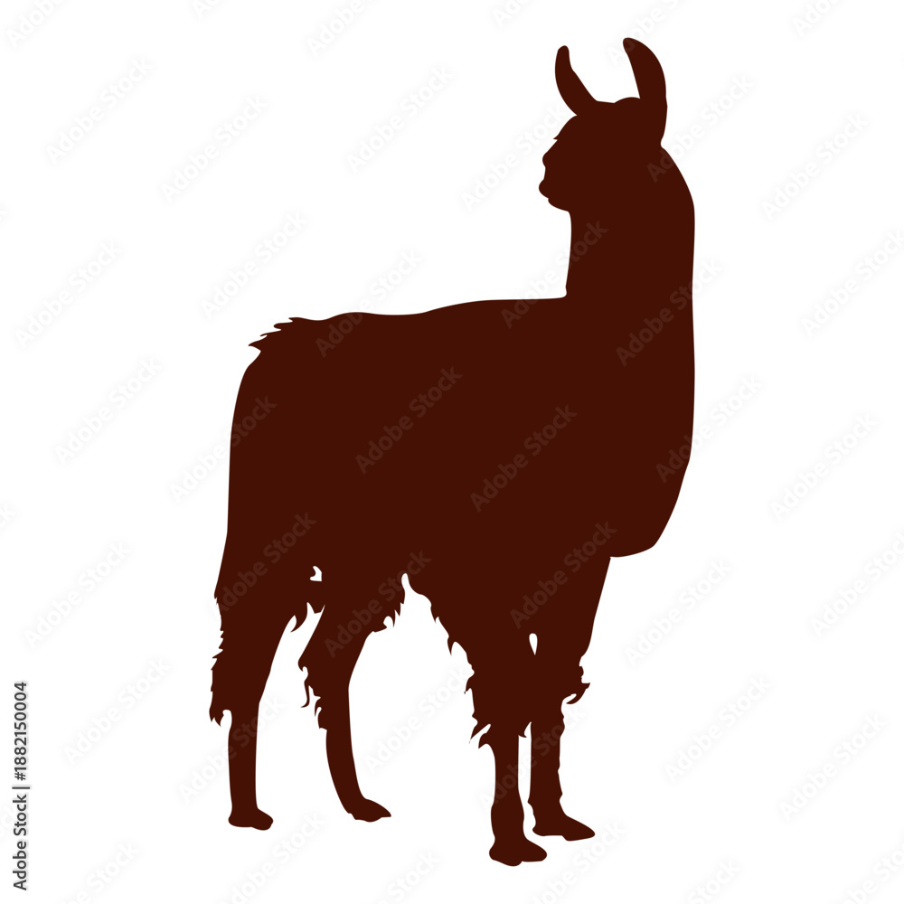 Obraz premium Llama silhouette