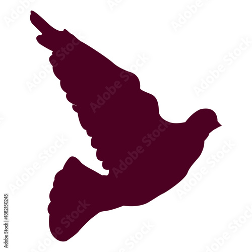 Dove flying sequence 10