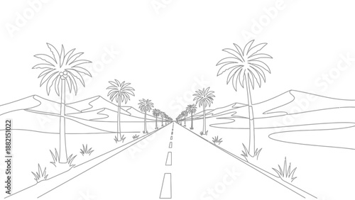 palm trees road desert landscape illustration