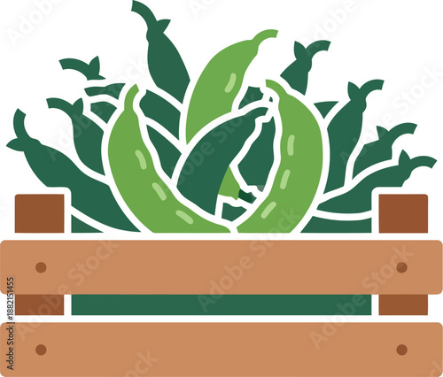 Fresh Green Peas in Wooden Crate Vector Illustration for Market Design