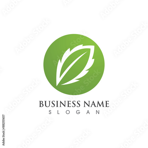 vegan leaf vector logo and symbol