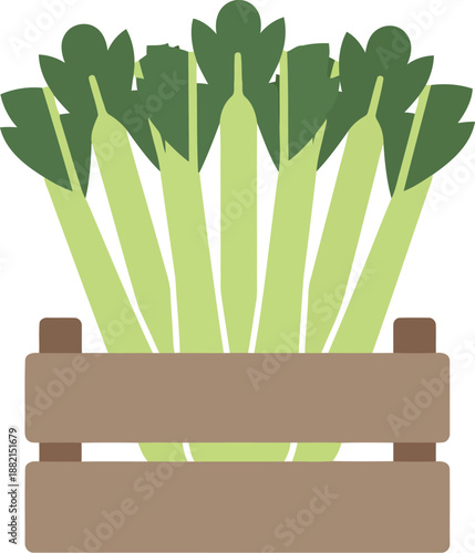 Fresh Celery Stalks in Wooden Crate Vector Illustration