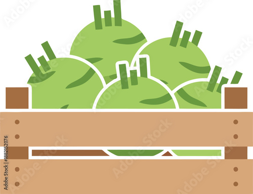 Fresh Kohlrabi in Wooden Crate Vector Illustration for Market Design