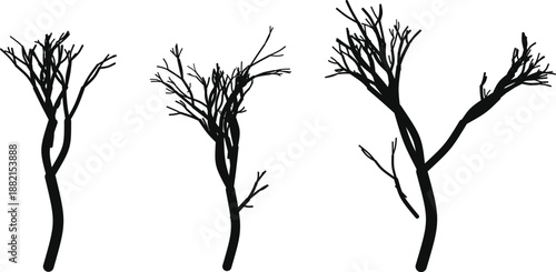 Three black bare tree silhouettes with sparse branches on white