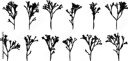 Black silhouette of ten different stylized branching plant stems
