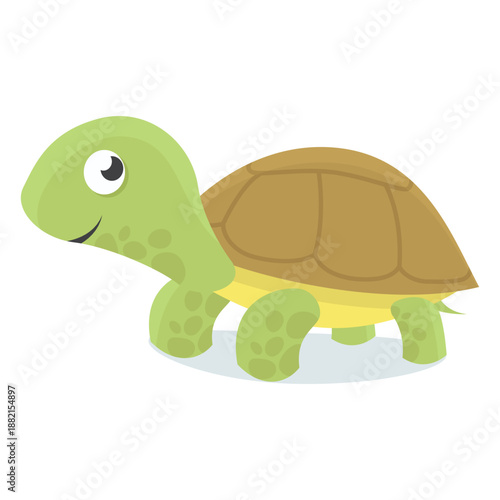 Turtle baby illustration