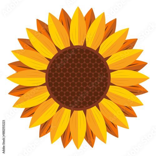 Sunflower head graphic