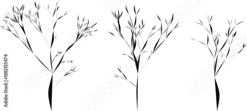 Three abstract black trees with thin branches on white background
