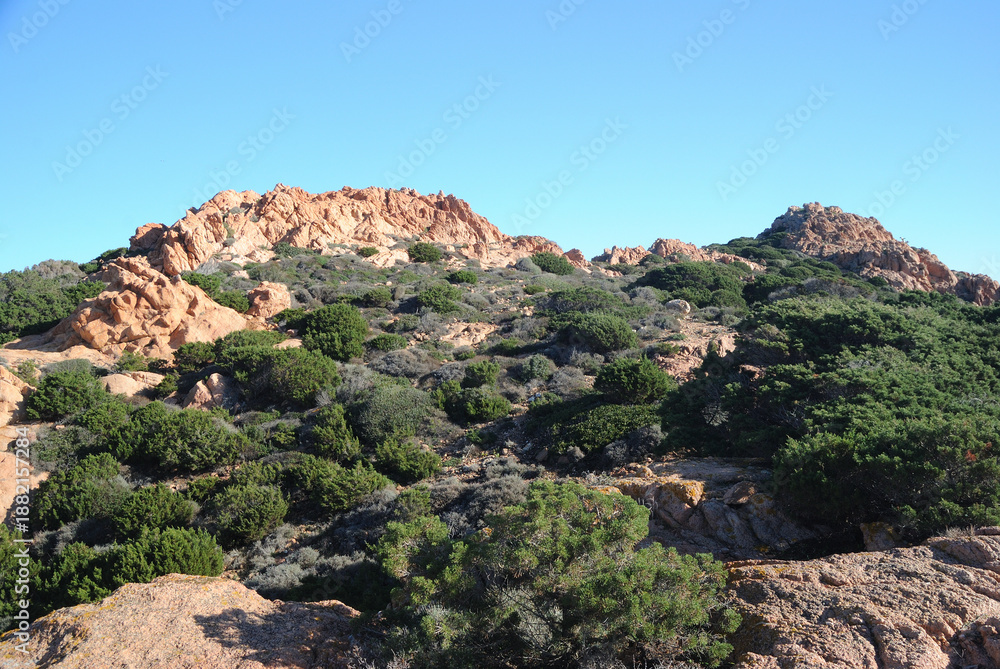 Fototapeta premium La costa di Punta Canneddi