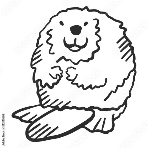 Beaver tail rodent fat doodle animal