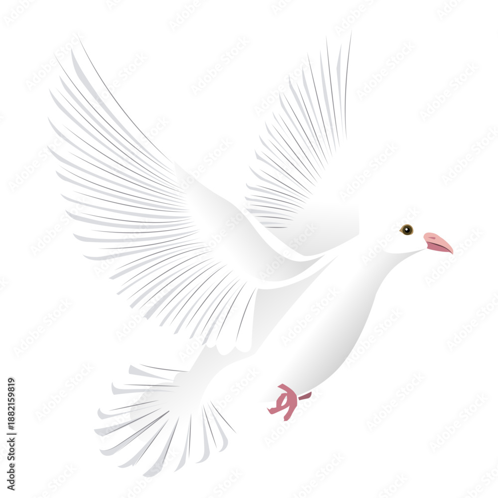 Fototapeta premium Pigeon wing tail beak illustration