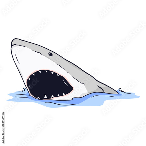 Shark mouth jaw tooth sea illustration