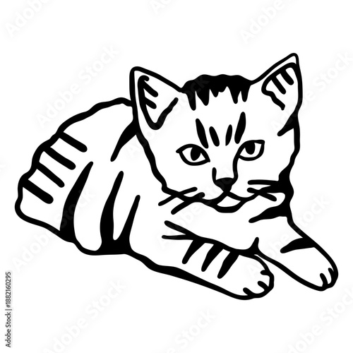 Cat whisker stripe lying stroke