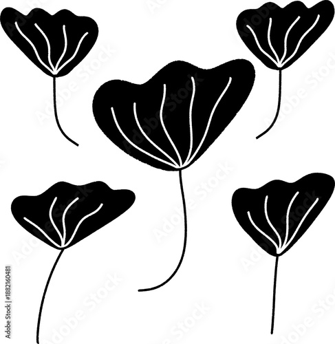 Black illustration of ginkgo biloba leaves, Ginkgo plant silhouette