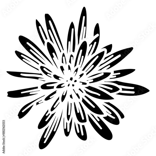 Flower silhouette detailed