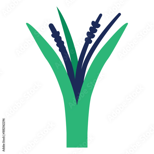 Plant leaf bushes tree grass flat plant