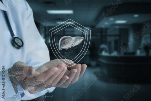 Hands aid liver health. © natali_mis