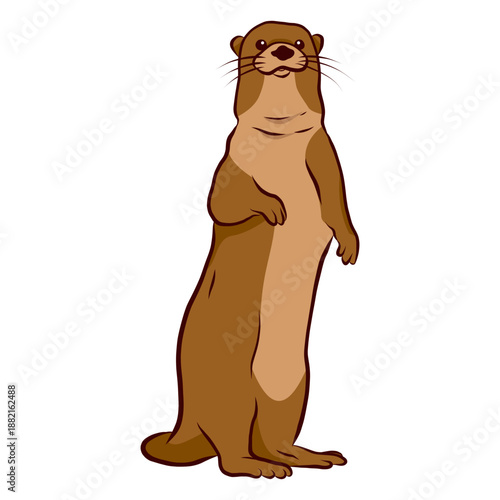 Otter muzzle leg illustration