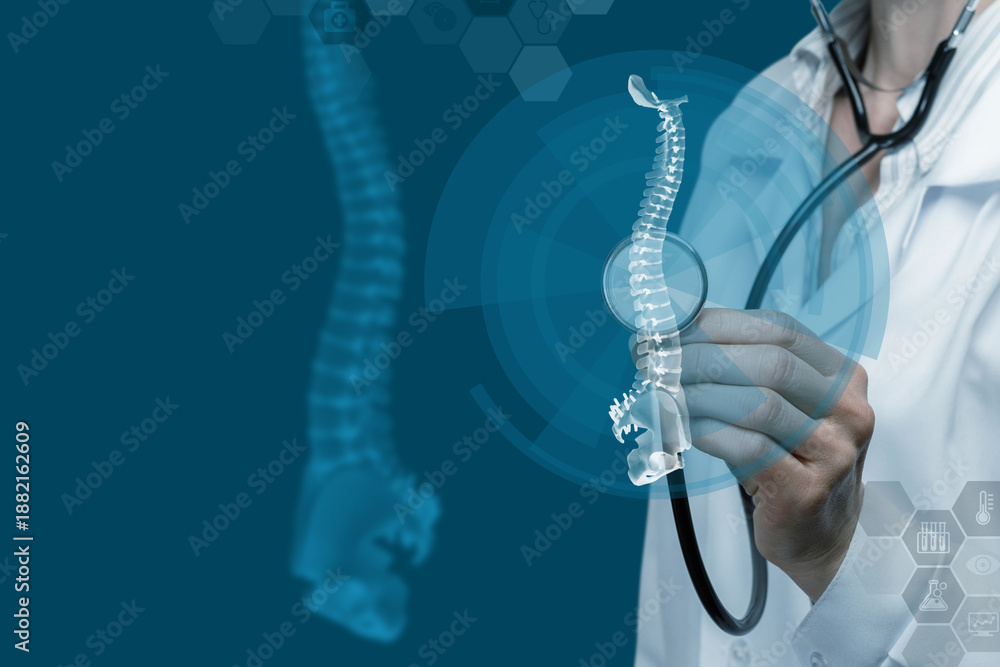 Naklejka premium Human spine exploration.