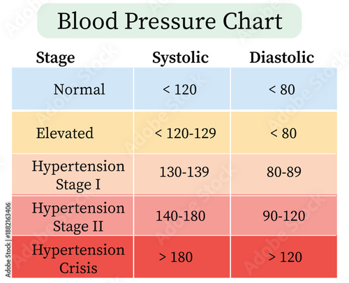 Blood Pressure Chart Infographic Showing Normal, Elevated and Hypertension Stages with Systolic and Diastolic Values. A Scientific Medical Vector Diagram