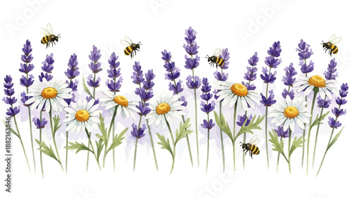 Watercolor illustration banner of purple lavender flowers and white daisies surrounded by busy honey bees flying around in sunny summer field scene