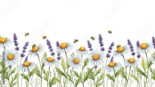 Watercolor border of daisies and lavender flowers with buzzing bees across a white background for fresh spring or summer design
